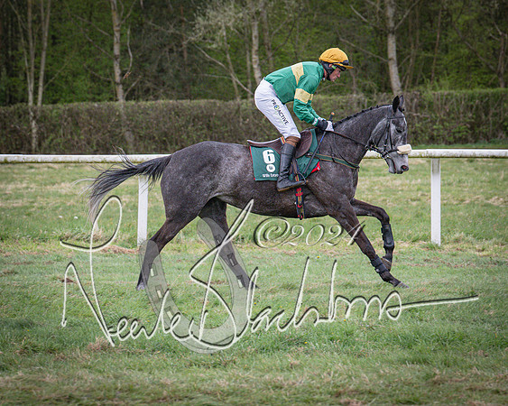 Race 7 - The Jockey Club maiden race for Mares and Fillies only (11 of 96)