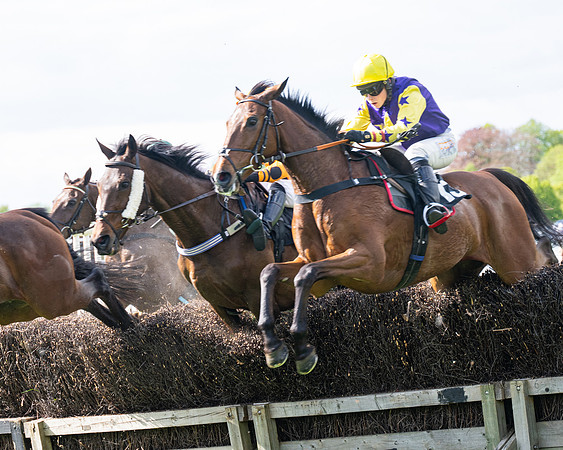 Race 4 -  2M4F Conditions  (61 of 102)