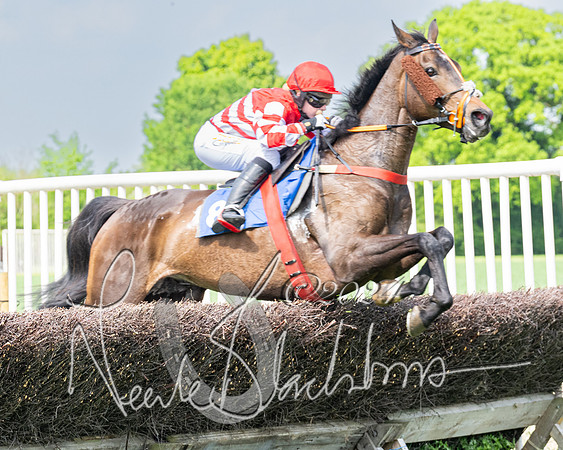 Race 2 - Restricted  (218 of 308)