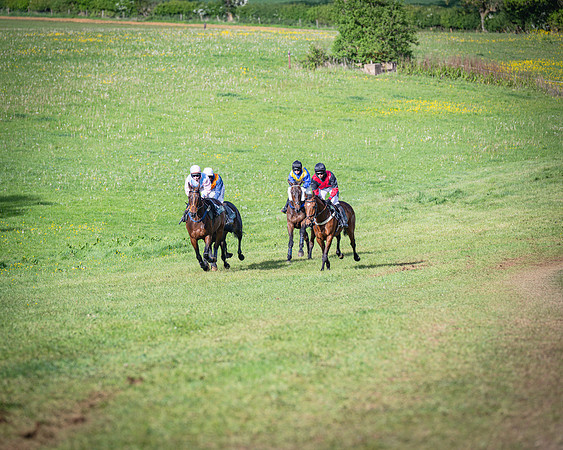 Race 7 - Walnut Hill PPORA club members maiden (2 of 104)