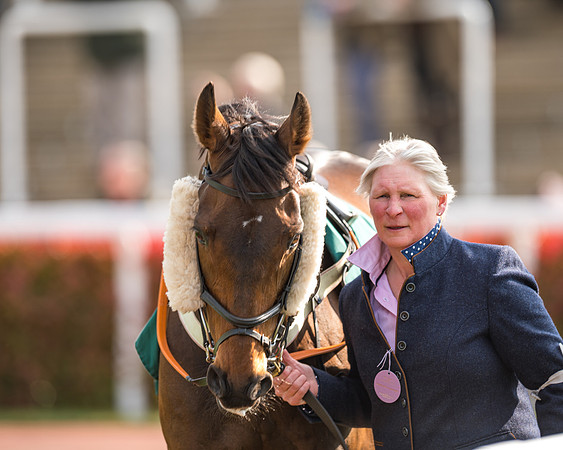 Race 2  -  Intermediate Point to Point Hunters' Steeple Chase (27 of 277)