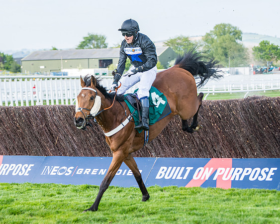 Race 1 - The open Hunter chase  (69 of 95)