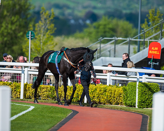 Race 1 - The open Hunter chase  (21 of 95)