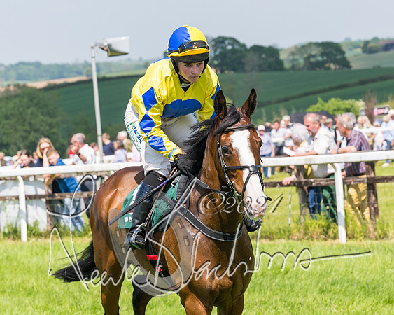 Race 2 - The Maiden  (96 of 442)