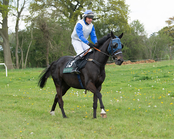Race 2 - Jockey Club ROR veteran Horse (11 of 104)