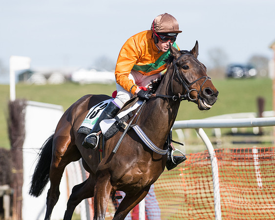 Race 2 - Open Maiden Div 2 (72 of 124).jpg