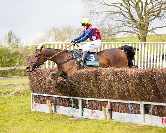 Race 5 - Restricted  (53 of 118)