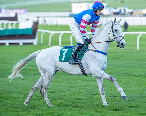 Race 7 - Glos Hussars  (70 of 245)