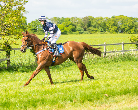 Race 4 - Ladies Open  (13 of 79)