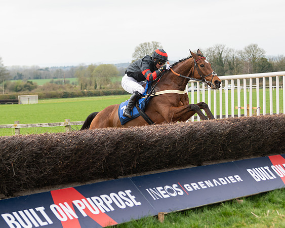 Race 2 - Veteran Horse (106 of 153)