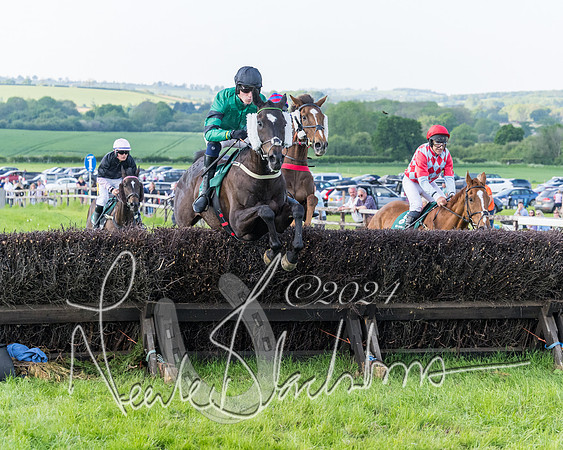 Race 7 - Veteran Horse (29 of 246)