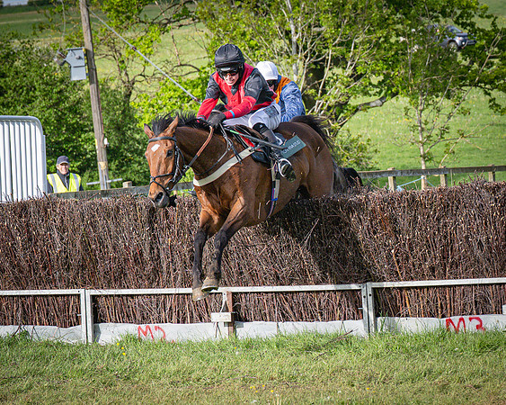 Race 7 - Walnut Hill PPORA club members maiden (63 of 104)