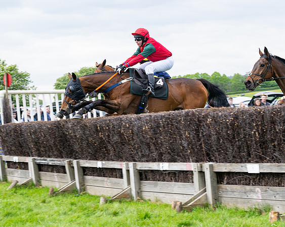 Race 2 - Veteran Horse (14 of 80)