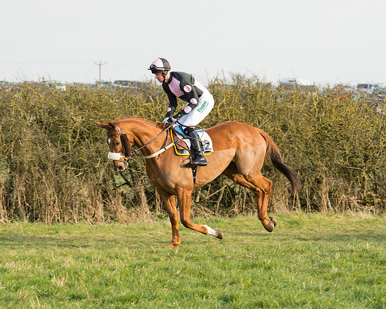 Race 6 - Open Maiden Race (39 of 99).jpg