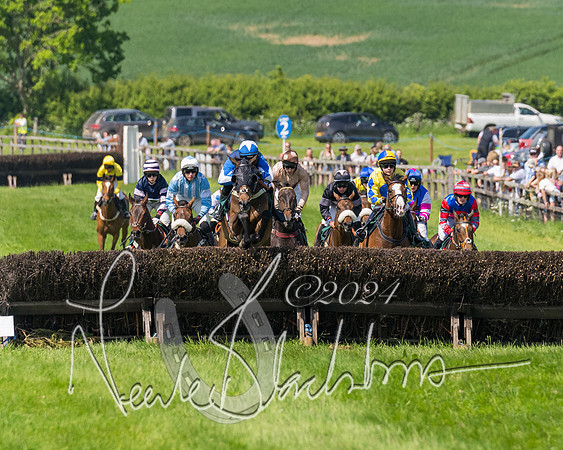 Race 2 - The Maiden  (194 of 442)