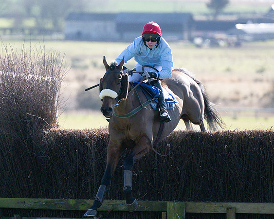 Race 1 - Veteran Horse (55 of 62)