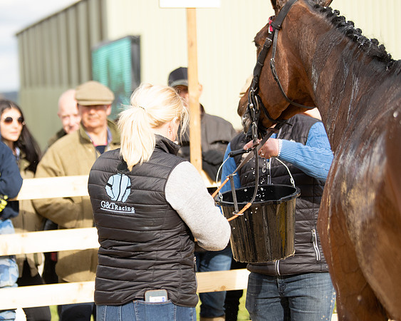 Race 5 - Restricted  (91 of 118)
