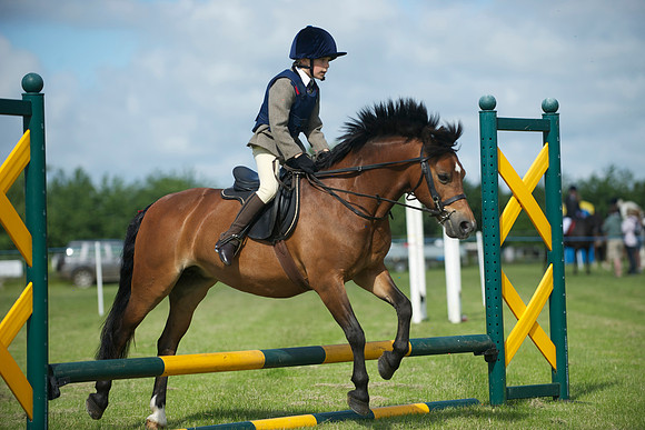 SOHS PC Summer Show at BCA 17th June 2012