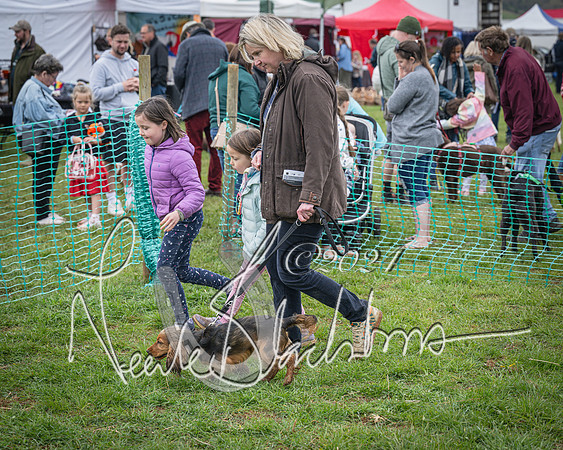 Bicester - Dog Show (82 of 106)