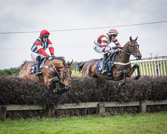 Race 6 - 2M4F Maiden (37 of 85)