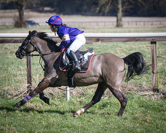 Pony Races (57 of 112)