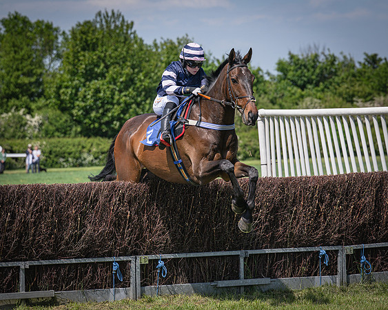 Race 1 The Bonners & Babbingtons South Midlands area conditions (17 of 73)