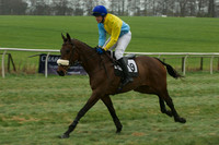 Race 5 - Restricted 13