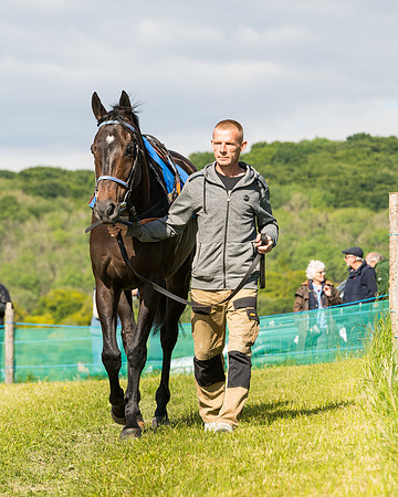 Race 5 - Restricted  (11 of 136)