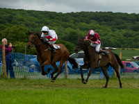 Pony Race - 7