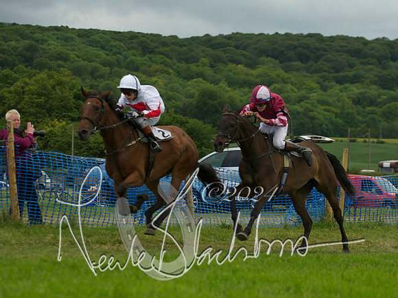 Pony Race - 7