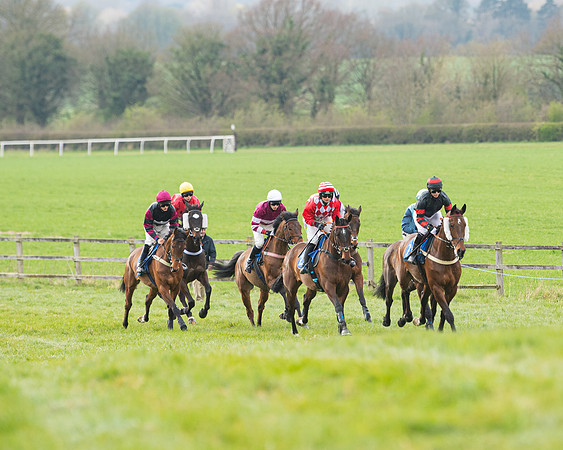 Race 6 - The Restricted Race (84 of 200)
