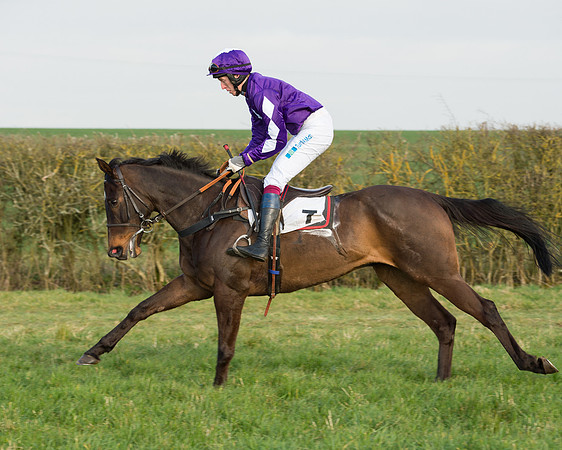 Race 6 - Open Maiden Race (33 of 99).jpg