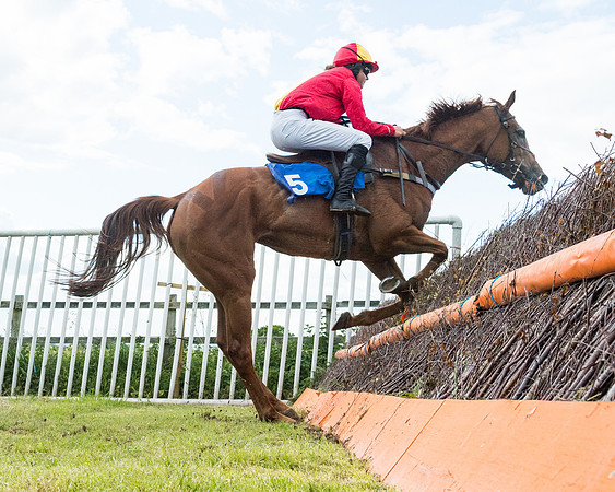 Race 5 - Restricted  (93 of 136)