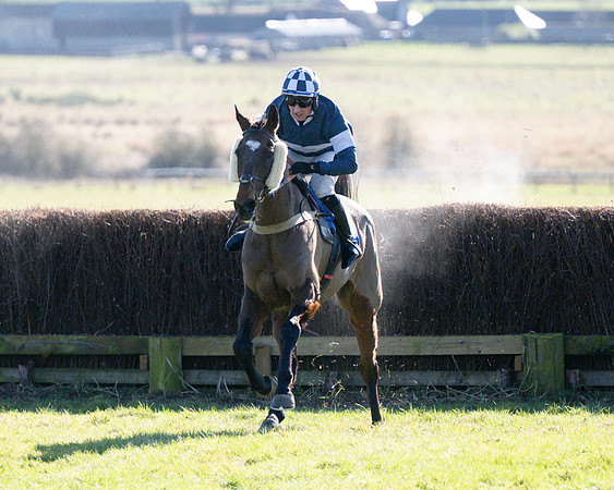 Race 1 - Veteran Horse (59 of 62)
