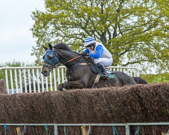 Race 2 - Jockey Club ROR veteran Horse (67 of 104)