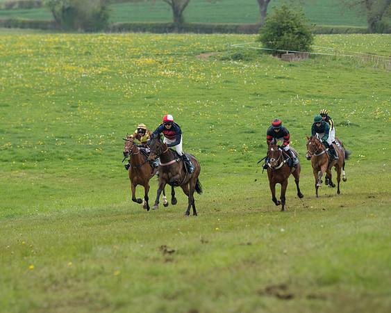 Race 2 - Jockey Club ROR veteran Horse (45 of 104)