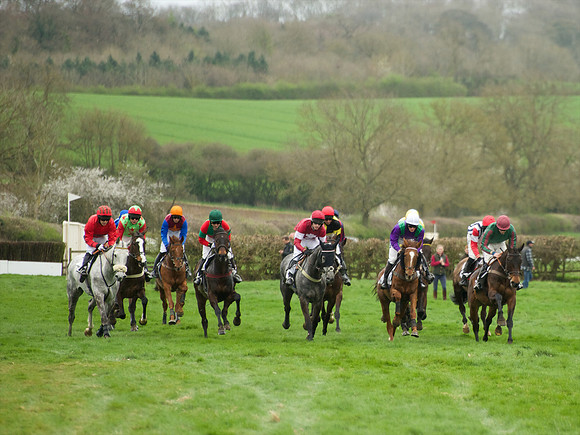 Race 6 - Maiden  41