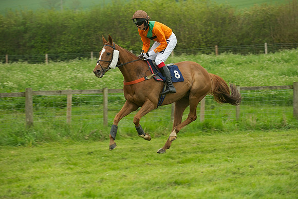 Race 2 - Novices 20