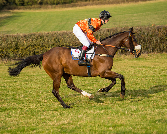 Race 5 - PPORA Conditions 2 - 8 and over  (15 of 156)