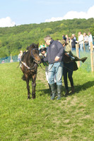 PNY_0570