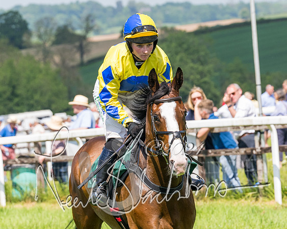 Race 2 - The Maiden  (92 of 442)