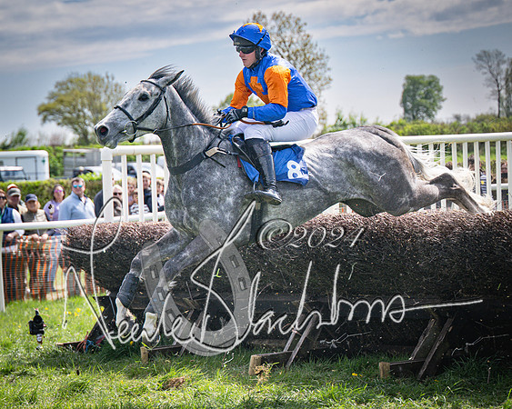 Race 2 - The Elliott of London maiden race (84 of 137)