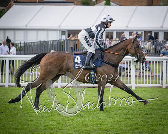 Race 2 - Olly Murphy Racing Stratford Ladies Open (38 of 111)