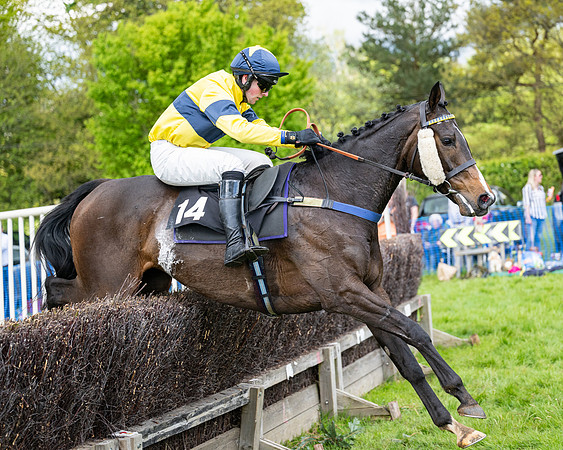 Race 5  - Maiden  (75 of 84)
