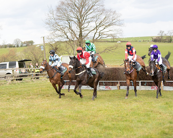 Race 2 - Young Horse Maiden (46 of 104)