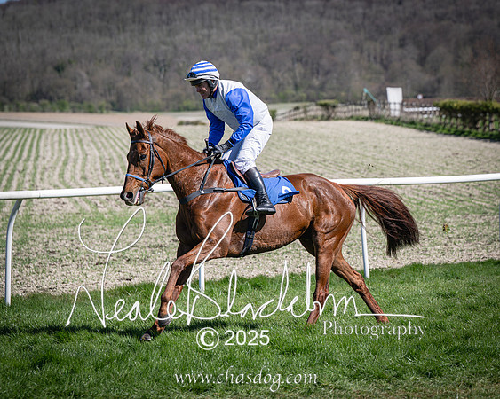 Race 2 - The Maiden (22 of 118)