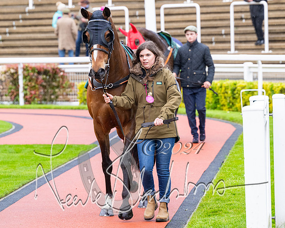 Race 5 - Mares Open  (5 of 129)