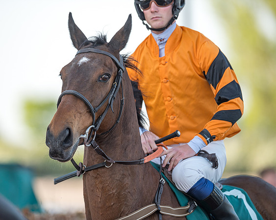 Race 3 - KTDA Hunters' Steeple Chase  (99 of 226)