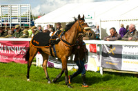 Race 3 - Aga Ladies Open 6