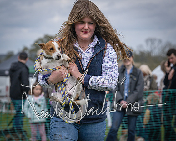 Bicester - Dog Show (51 of 106)
